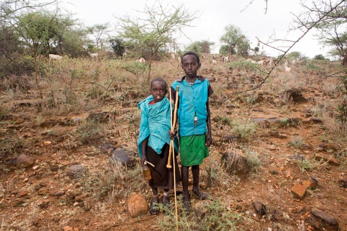 Lchekutis, Maasai Child Shepherds